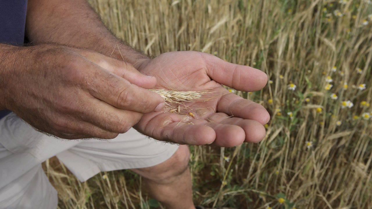 El campo, pendiente del presupuesto y de la PAC