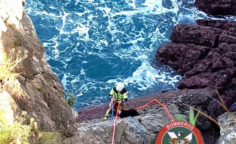 Bomberos rescatan a un perro caído al mar por un acantilado de Castro