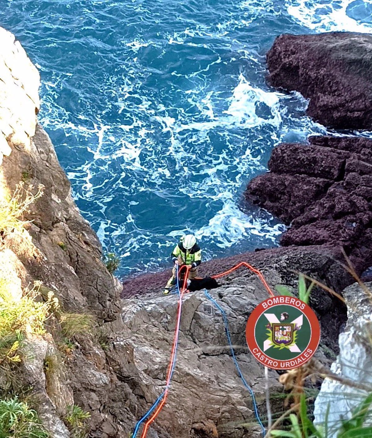 Bomberos rescatan a un perro caído al mar por un acantilado de Castro