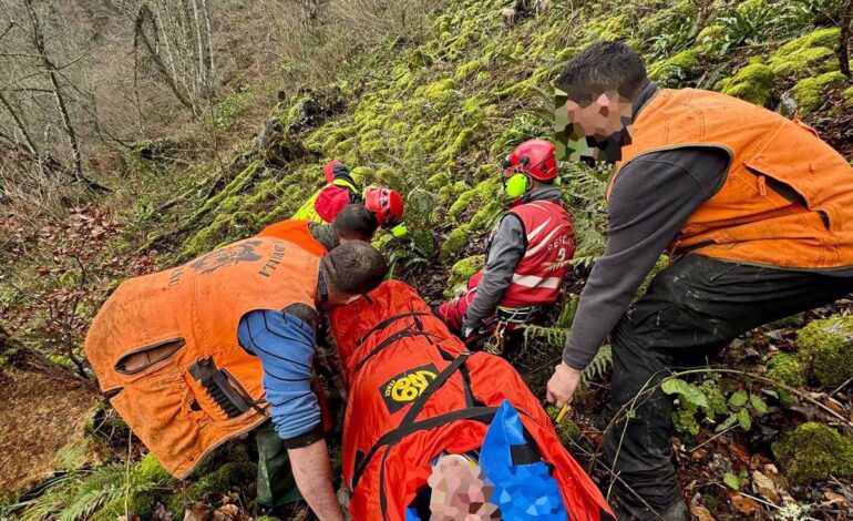 Herido un cazador tras sufrir una caída en el Bosque de Peloño en Ponga