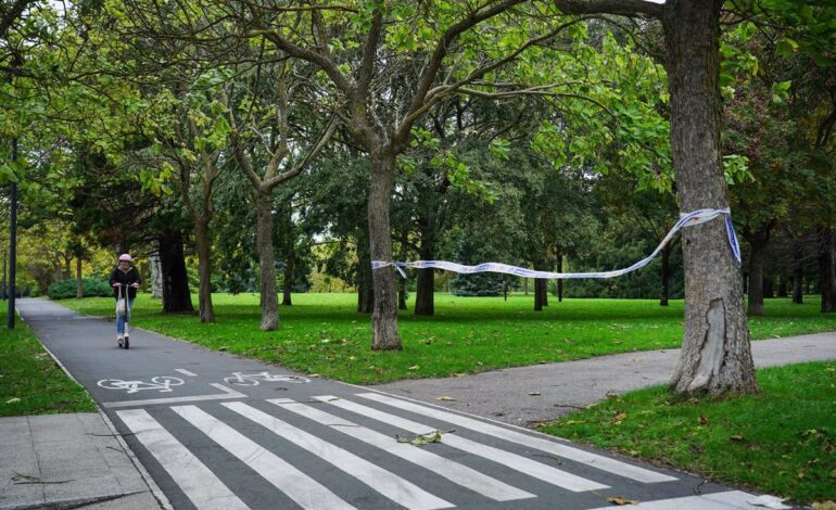 Se elevan a 106 las incidencias en Euskadi por las rachas de viento