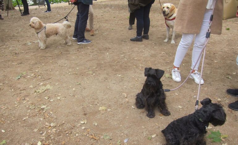 Vecinos de Sanchinarro alertan del envenenamiento de perros en parques de la zona