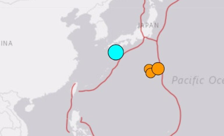 Japón activa el aviso de tsunami por un terremoto de magnitud 6,9 en el sur