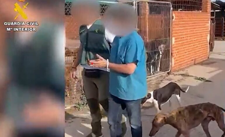 Guardia Civil investiga a un hombre tras hallar tres cadáveres de perros y 11 en malas condiciones en Cadalso