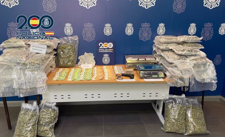 Ocho detenidos de una organización criminal dedicada a enviar droga por paquetería desde Alicante a Europa