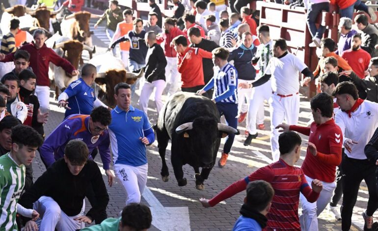 Un herido por asta de toro y 15 asistencias en el cierre de los ‘encierros blancos’ de ‘Sanse’