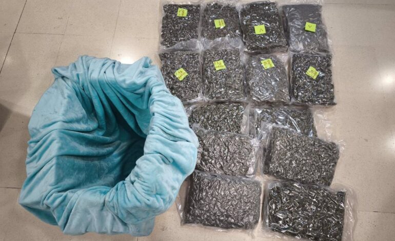 Detienen a un hombre en Sant Esteve Sesrovires (Barcelona) y confiscan 46 kilos de marihuana