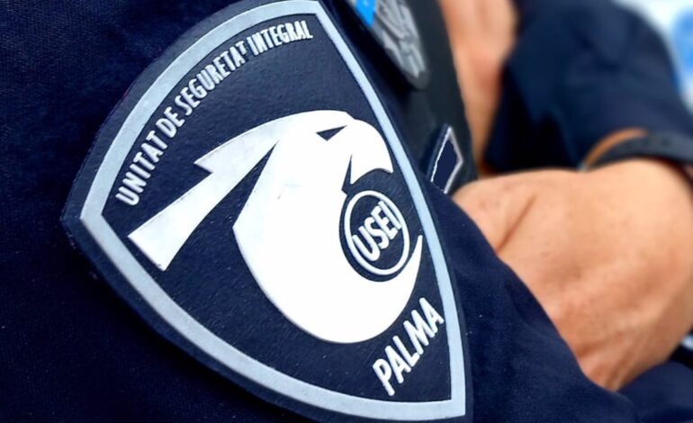 La Policía Local de Palma detiene a un hombre por agredir a su pareja tras volver drogado tras días ausente