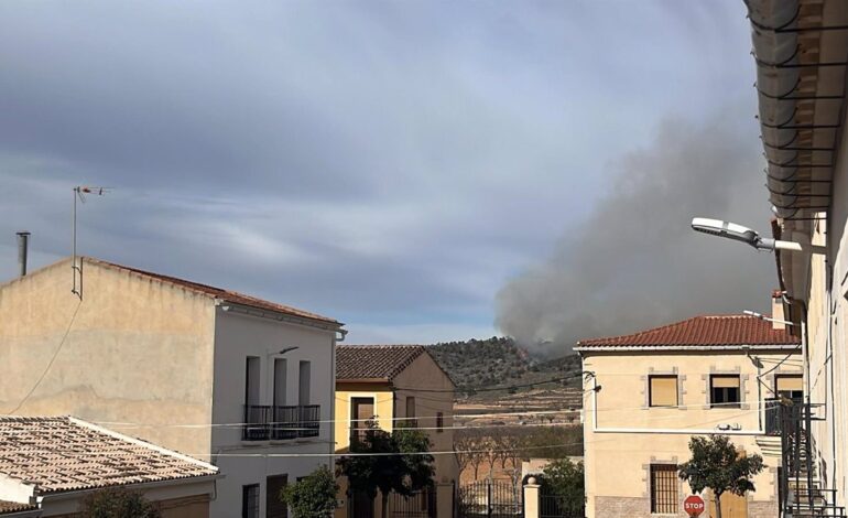 Bomberos trabajan en la extinción de un incendio forestal en Algueña