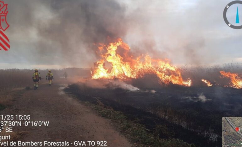 Controlado el incendio forestal en la Marjal dels Moros de Sagunt