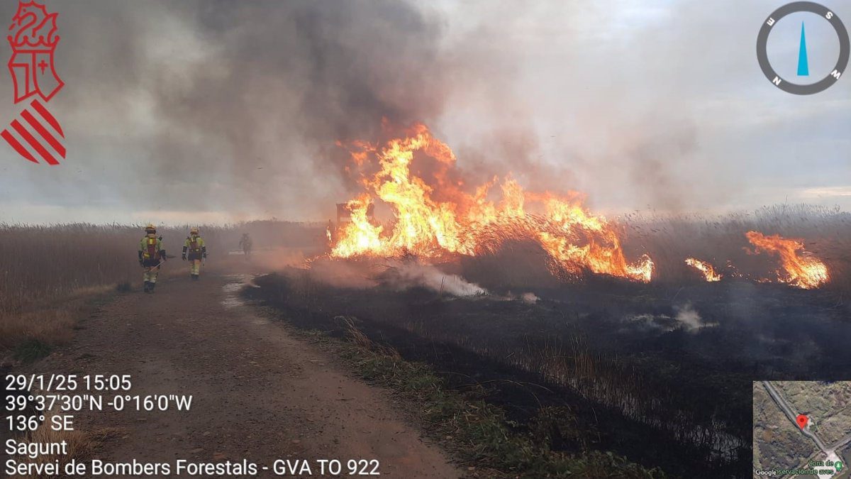 Controlado el incendio forestal en la Marjal dels Moros de Sagunt