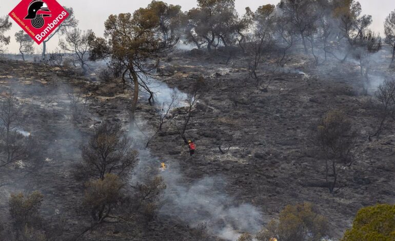 Extinguido el incendio forestal del Monte Coto en Algueña, con ocho hectáreas arrasadas