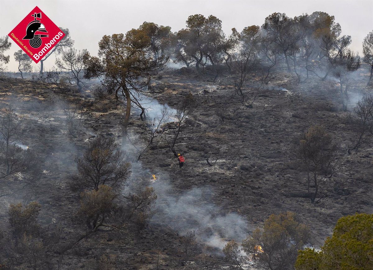 Extinguido el incendio forestal del Monte Coto en Algueña, con ocho hectáreas arrasadas