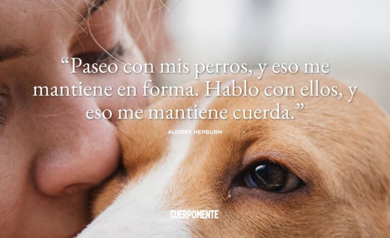 25 frases de perros emotivas para compartir tu amor por ellos