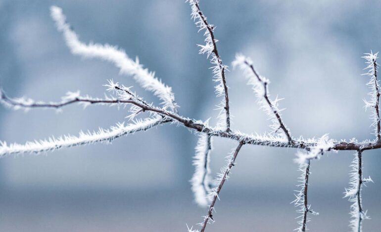 La AEMET avisa de un descenso notable de las temperaturas y de heladas en estas zonas de España