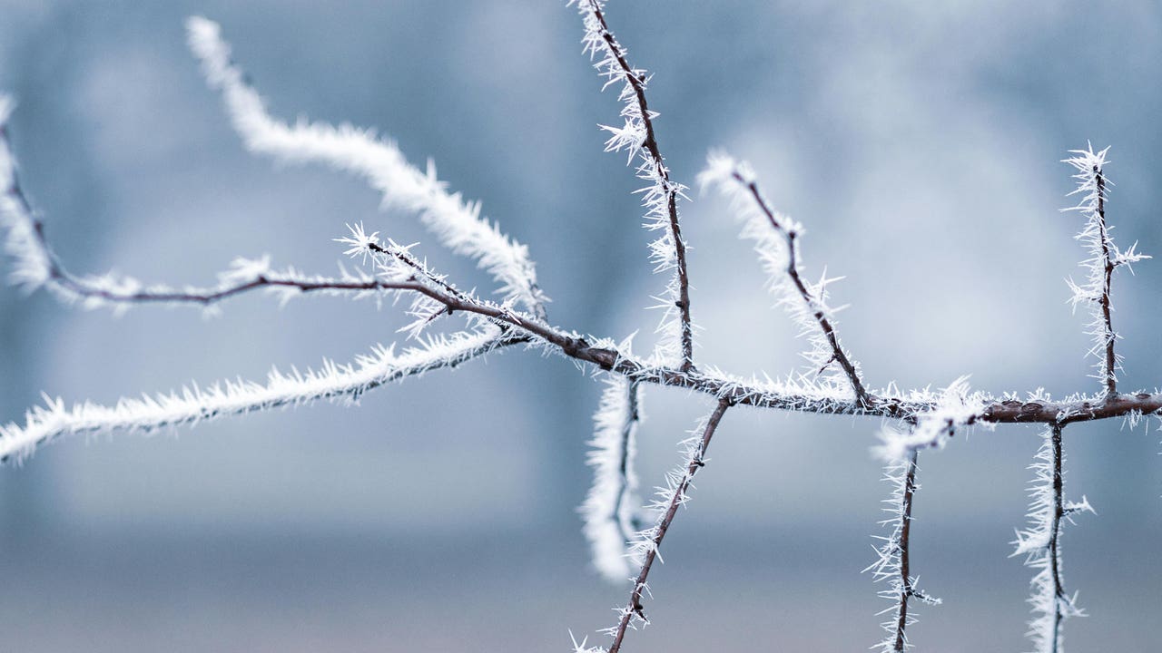 La AEMET avisa de un descenso notable de las temperaturas y de heladas en estas zonas de España