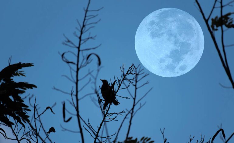 calendario lunar del 13 al 19 de enero de 2025