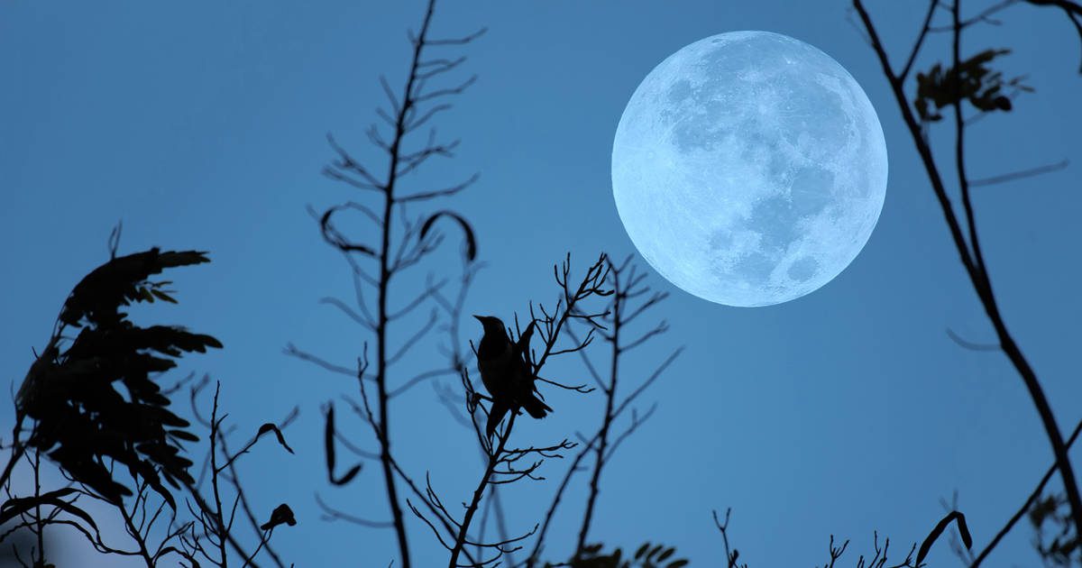 calendario lunar del 13 al 19 de enero de 2025