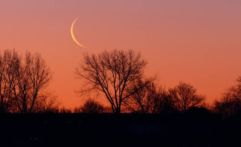 calendario lunar del 27 de enero al 2 de febrero de 2025