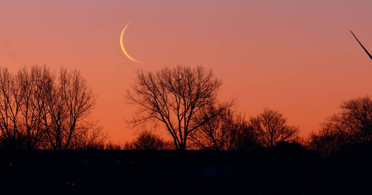 calendario lunar del 27 de enero al 2 de febrero de 2025