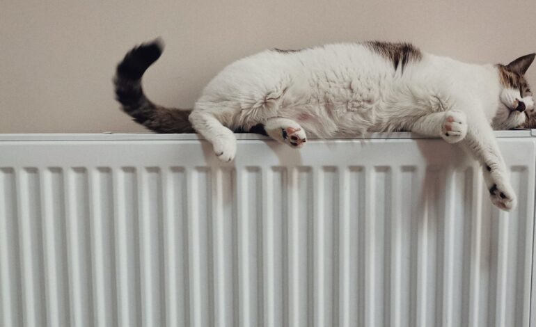 Esta es la temperatura exacta que debes mantener en la calefacción de tu casa para mejorar en ahorro energético