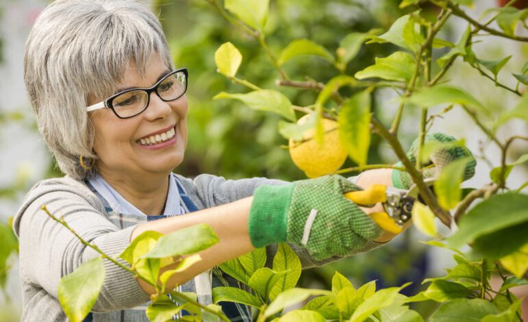 Cómo podar un limonero para que crezca más fuerte y saludable