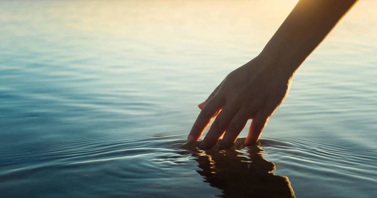 Qué es la mente azul y como cultivarla para aumentar las hormonas de la felicidad