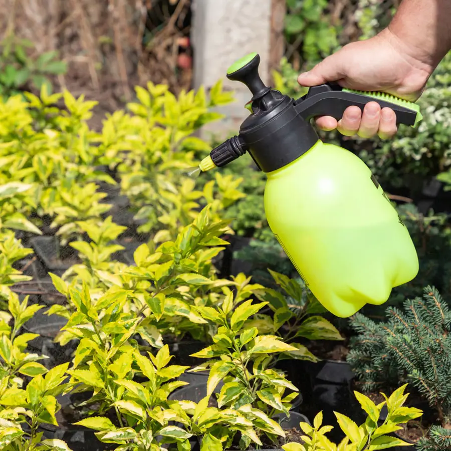 fertilizante para plantas acuáticas