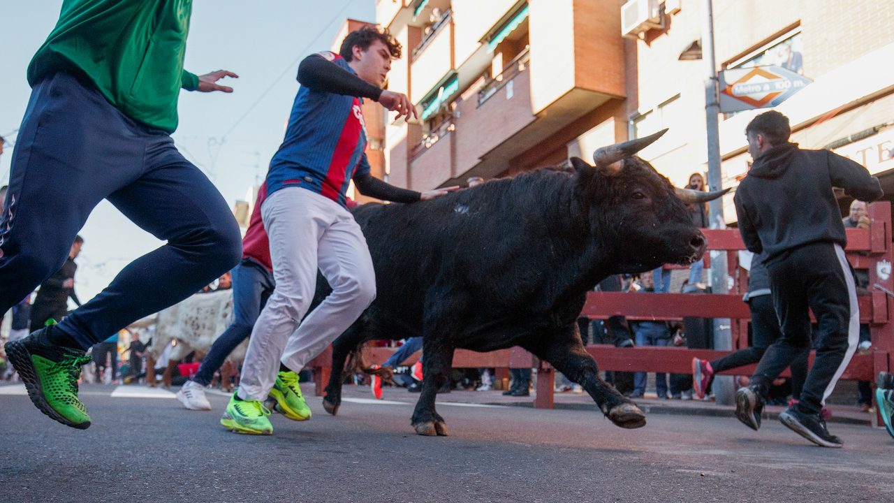 primer encierro blanco de San Sebastián de Los Reyes 2025