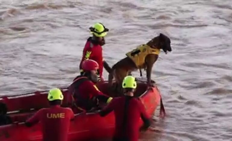 unos efectivos esenciales en las labores de rescate tras la DANA