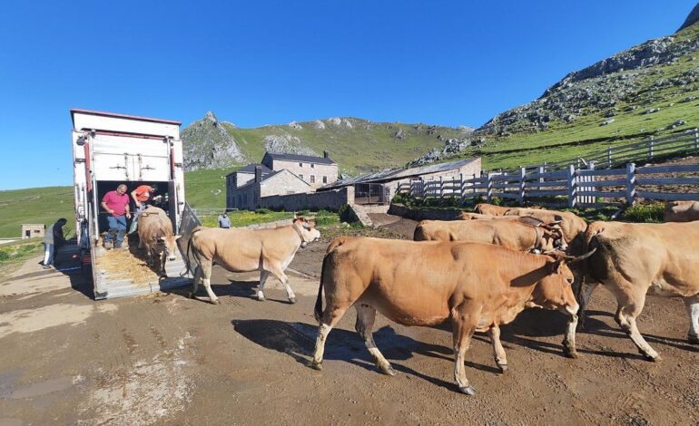 los jueces abren la puerta a la expropiación del puerto de Pinos