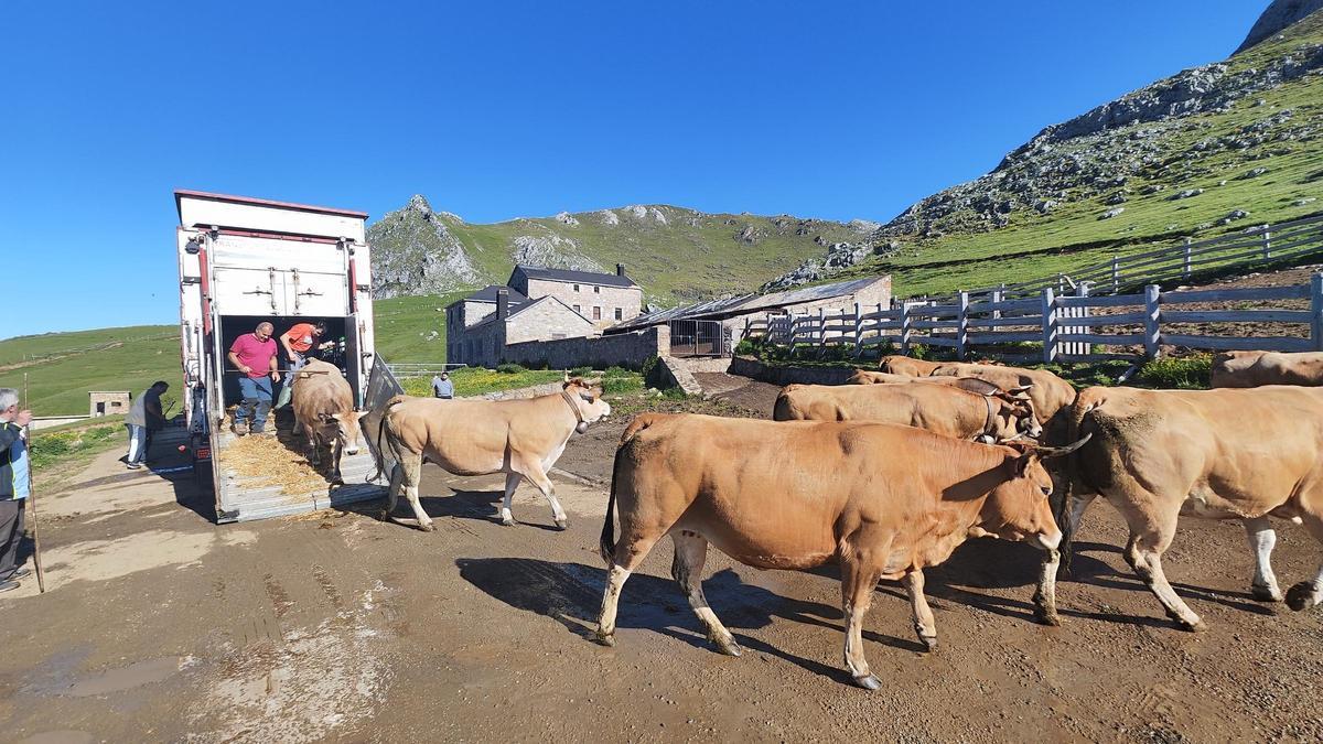 los jueces abren la puerta a la expropiación del puerto de Pinos