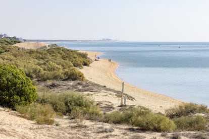 El aguazal de El Portul en Punta Umbria (Huelva).