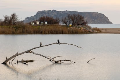 La laguna de Torroella de Montgrí (Girona).