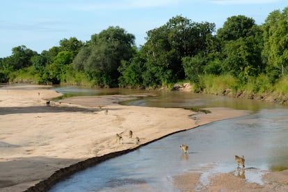 Los paisajes del río Luangwa.