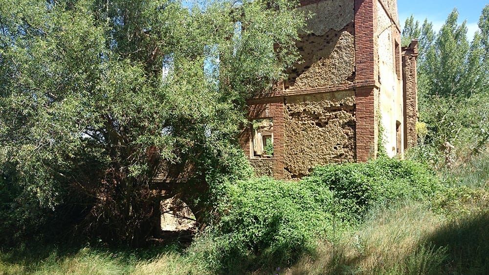 Concepción Arenal Mill