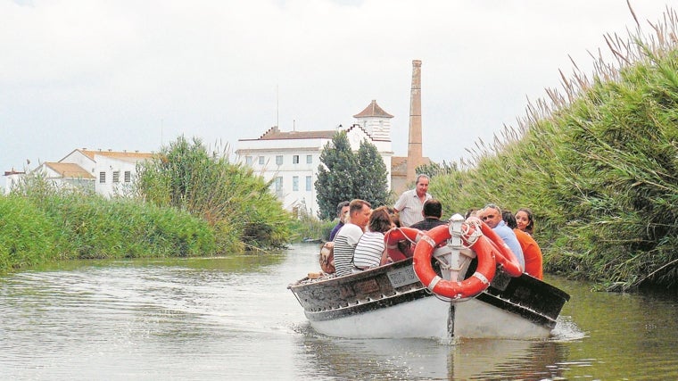 Una de las experiencias más interesantes en la comunidad valenciana es lo que le permite descubrir la cultura del arroz en el área de Albufera.