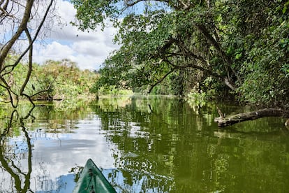 Vista de la canoa con la que se puede navegar el lago Duluti, en la región de Arusha. 