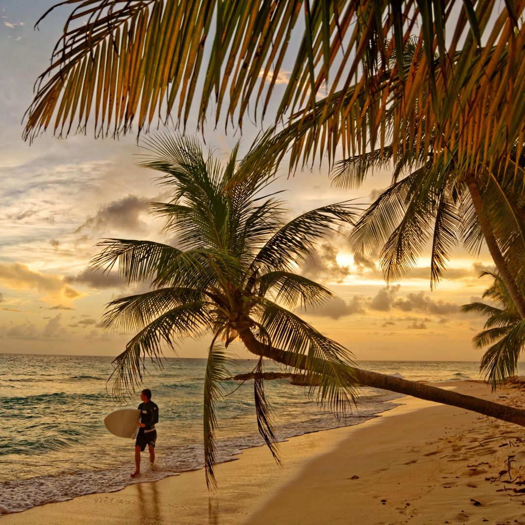 Surfista y puesta de sol en Dover Beach, Barbados, Caribe