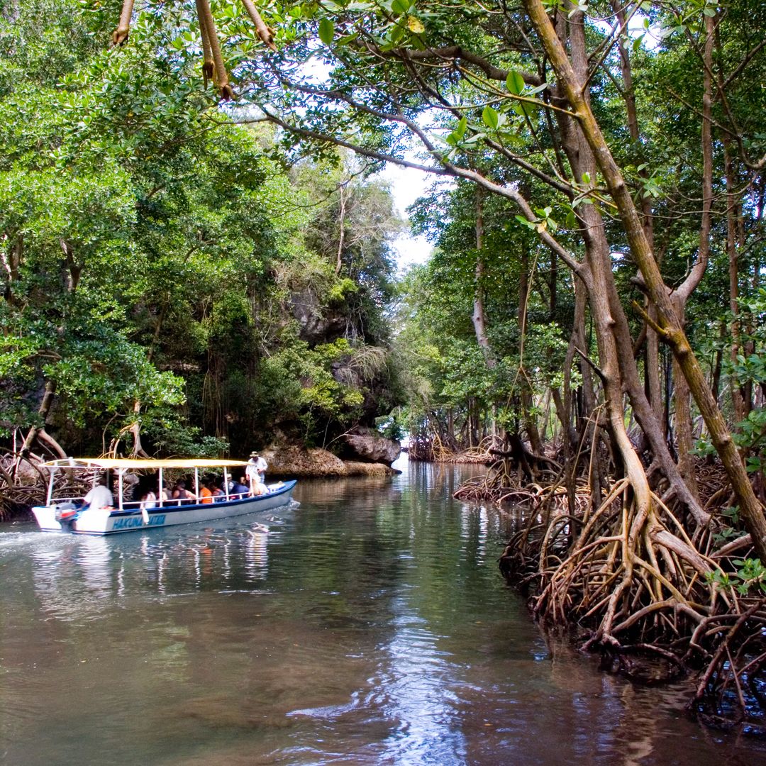 Parque Nacional Los Haiites, República Dominicana