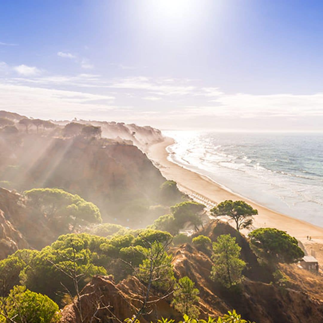 Portugal Playa Falessia