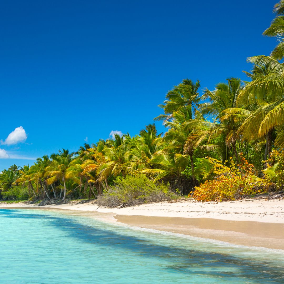 Bavaro Beach, Punta Cana, República Dominicana