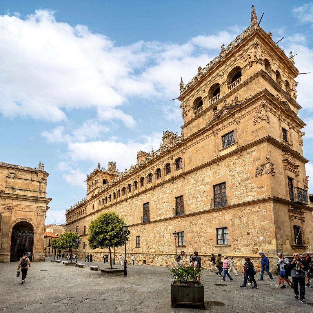 Monterrey Palace, Alba House, Salamanca