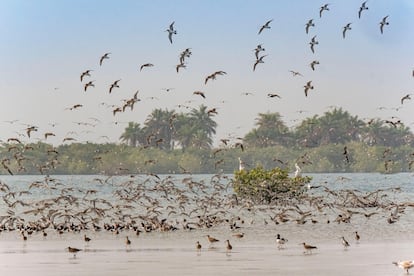 Un paraíso para la biodiversidad.