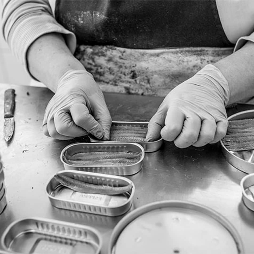 Preserva hermosas anchoas de latas galicianas