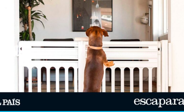 Puertas prácticas y seguras para tu mascota | Escaparate: compras y ofertas