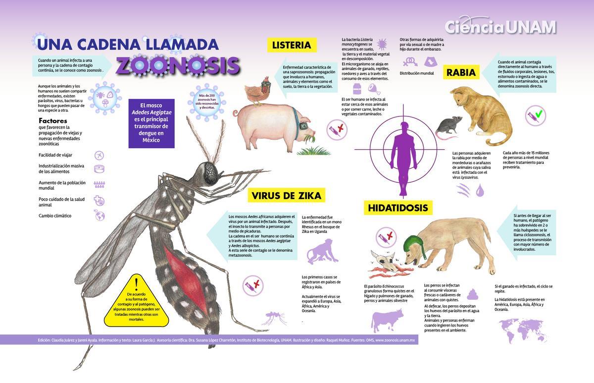 Mural explicativo sobre zoonosis.