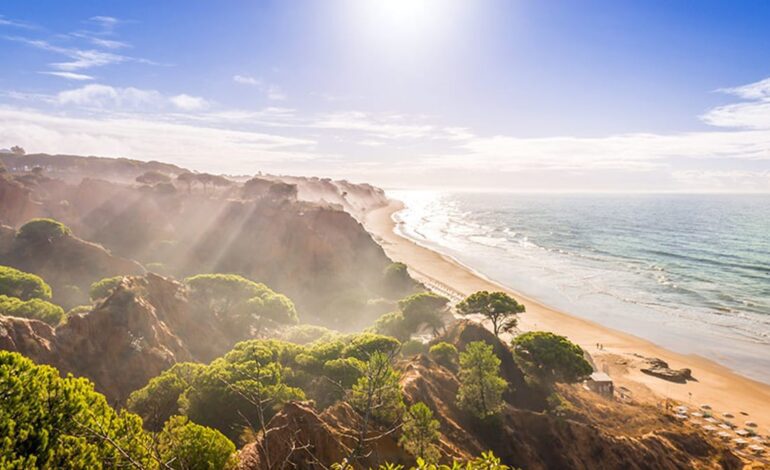 La playa rosa de Elafonsini y las otras 9 mejores del mundo en 2025