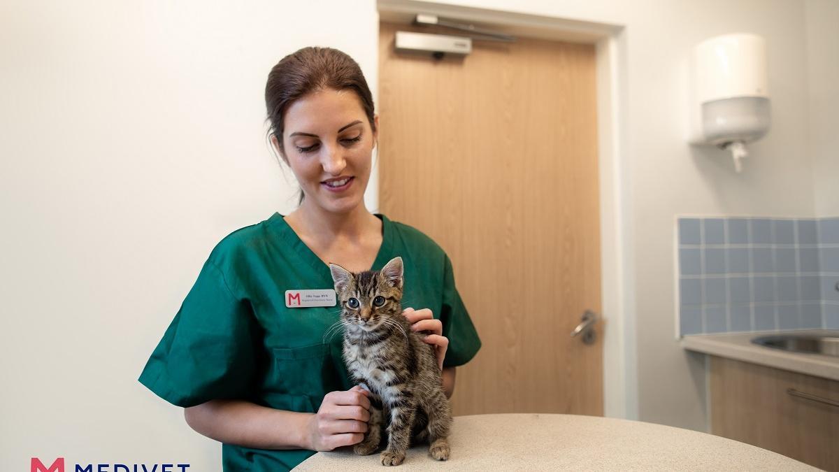 los veterinarios denuncian los problemas de las clínicas