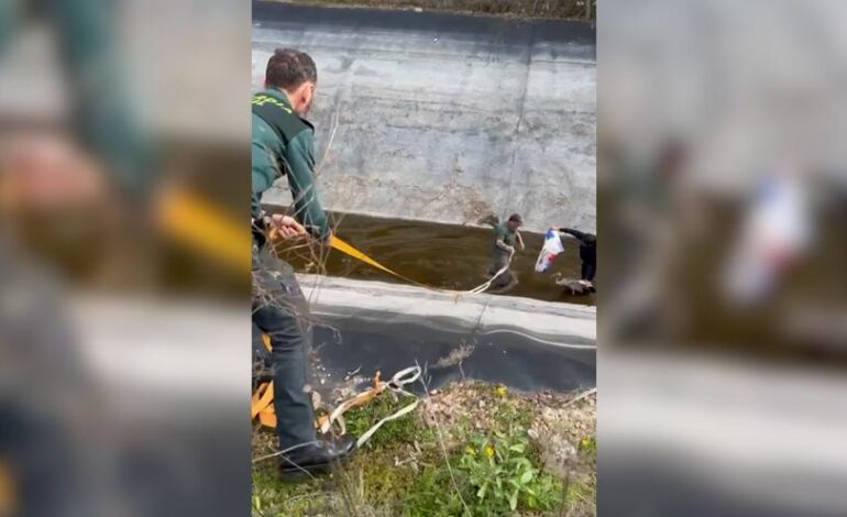 RESCATE GARZA GUADIANA | Rescatan a una garza que había caído en un canal de riego del Guadiana, en Cáceres